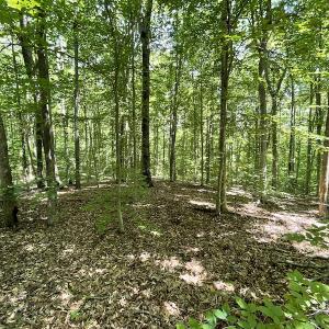 Photo #24 of Off Bell Road, Powhatan, VA 6.8 acres