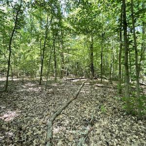 Photo #25 of Off Bell Road, Powhatan, VA 6.8 acres