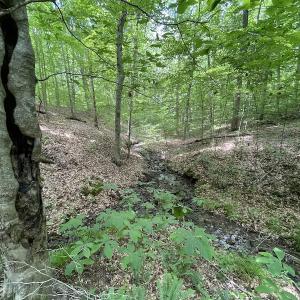 Photo #26 of Off Bell Road, Powhatan, VA 6.8 acres