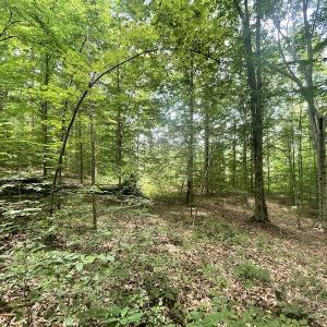 Photo #27 of Off Bell Road, Powhatan, VA 6.8 acres