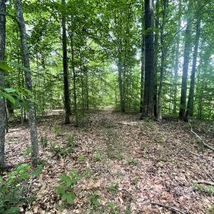 Photo #28 of Off Bell Road, Powhatan, VA 6.8 acres