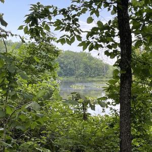 Photo #29 of Off Bell Road, Powhatan, VA 6.8 acres