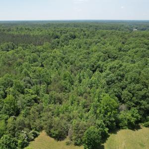 Photo #3 of Off Bell Road, Powhatan, VA 6.8 acres