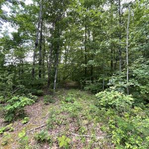 Photo #31 of Off Bell Road, Powhatan, VA 6.8 acres