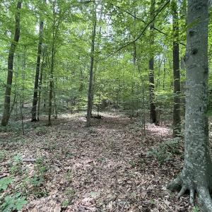 Photo #33 of Off Bell Road, Powhatan, VA 6.8 acres