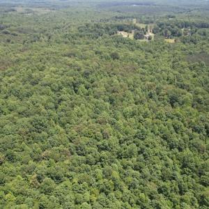 Photo #5 of Off Bell Road, Powhatan, VA 6.8 acres