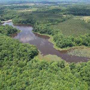 Photo #7 of Off Bell Road, Powhatan, VA 6.8 acres
