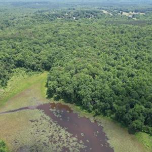 Photo #8 of Off Bell Road, Powhatan, VA 6.8 acres