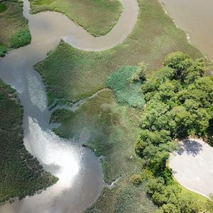 Photo #15 of SOLD property in 5064 Riverfront Dr, Suffolk, VA 2.9 acres
