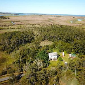Photo #3 of SOLD property in 13360 Cattail Rd , Mears, VA 46.0 acres