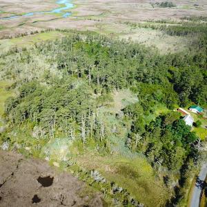 Photo #5 of SOLD property in 13360 Cattail Rd , Mears, VA 46.0 acres