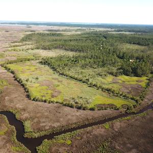 Photo #8 of SOLD property in 13360 Cattail Rd , Mears, VA 46.0 acres