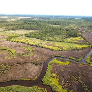 Photo #9 of SOLD property in 13360 Cattail Rd , Mears, VA 46.0 acres