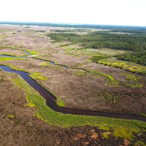Photo #10 of SOLD property in 13360 Cattail Rd , Mears, VA 46.0 acres