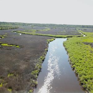Photo #11 of SOLD property in 13360 Cattail Rd , Mears, VA 46.0 acres