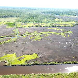 Photo #13 of SOLD property in 13360 Cattail Rd , Mears, VA 46.0 acres