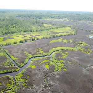 Photo #15 of SOLD property in 13360 Cattail Rd , Mears, VA 46.0 acres