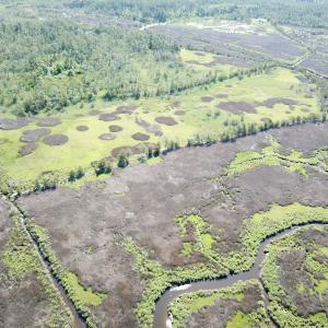 Photo #16 of SOLD property in 13360 Cattail Rd , Mears, VA 46.0 acres