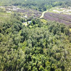Photo #17 of SOLD property in 13360 Cattail Rd , Mears, VA 46.0 acres