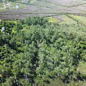 Photo #18 of SOLD property in 13360 Cattail Rd , Mears, VA 46.0 acres