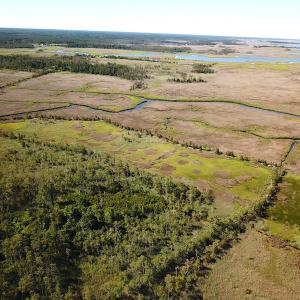 Photo #19 of SOLD property in 13360 Cattail Rd , Mears, VA 46.0 acres