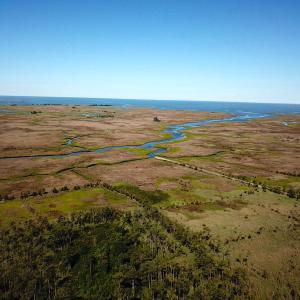 Photo #21 of SOLD property in 13360 Cattail Rd , Mears, VA 46.0 acres