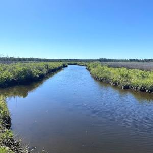 Photo #32 of SOLD property in 13360 Cattail Rd , Mears, VA 46.0 acres