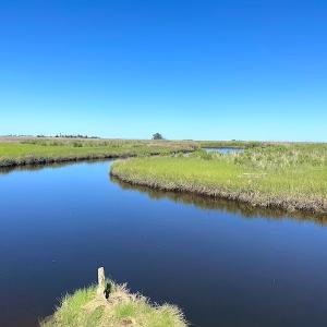 Photo #33 of SOLD property in 13360 Cattail Rd , Mears, VA 46.0 acres