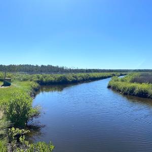 Photo #34 of SOLD property in 13360 Cattail Rd , Mears, VA 46.0 acres