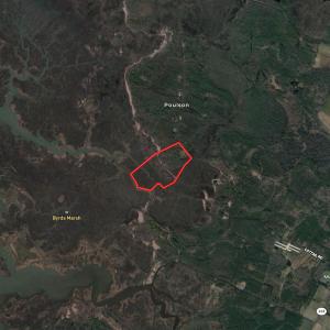 Photo #35 of SOLD property in 13360 Cattail Rd , Mears, VA 46.0 acres