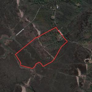 Photo #1 of SOLD property in 13360 Cattail Rd , Mears, VA 46.0 acres