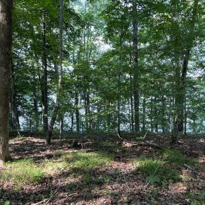 Photo #11 of SOLD property in Off Mountain Rock Trail, Boydton, VA 0.7 acres