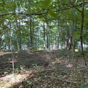 Photo #12 of SOLD property in Off Mountain Rock Trail, Boydton, VA 0.7 acres