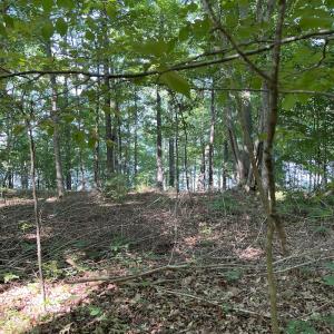 Photo #8 of SOLD property in Off Mountain Rock Trail, Boydton, VA 0.7 acres