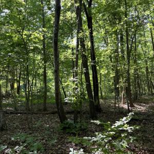 Photo #9 of SOLD property in Off Mountain Rock Trail, Boydton, VA 0.7 acres