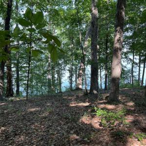 Photo #10 of SOLD property in Off Mountain Rock Trail, Boydton, VA 0.7 acres