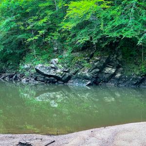 Photo #56 of SOLD property in Off Woodsdale Road & Hideaway Trail, Roxboro, NC 88.1 acres