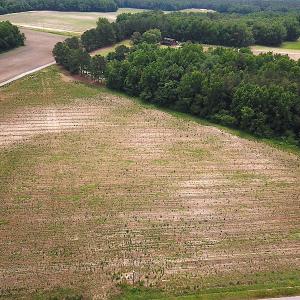 Photo #2 of SOLD property in Lot 2 Corinth Chapel Rd Suffolk VA, Suffolk, VA 2.0 acres