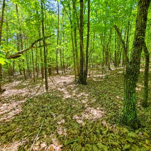 Photo #14 of SOLD property in 728 Retreat Drive, Axton, VA 32.4 acres