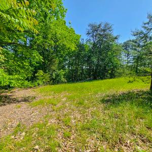 Photo #25 of SOLD property in 728 Retreat Drive, Axton, VA 32.4 acres