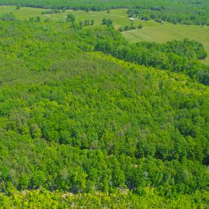 Photo #13 of SOLD property in 728 Retreat Drive, Axton, VA 32.4 acres