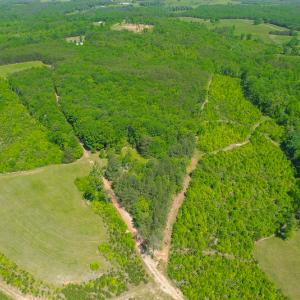 Photo #3 of SOLD property in 728 Retreat Drive, Axton, VA 32.4 acres