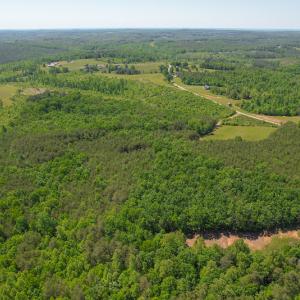 Photo #7 of SOLD property in 728 Retreat Drive, Axton, VA 32.4 acres