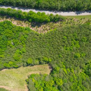 Photo #10 of SOLD property in 728 Retreat Drive, Axton, VA 32.4 acres