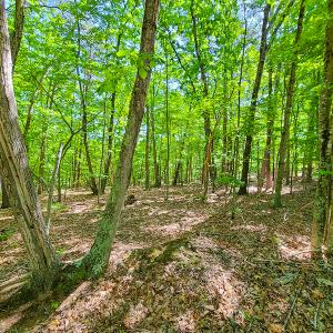 Photo #17 of SOLD property in 728 Retreat Drive, Axton, VA 32.4 acres