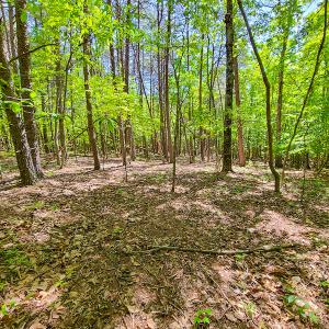 Photo #18 of SOLD property in 728 Retreat Drive, Axton, VA 32.4 acres