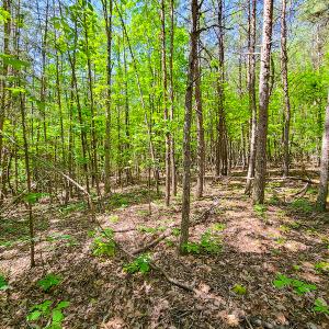 Photo #22 of SOLD property in 728 Retreat Drive, Axton, VA 32.4 acres