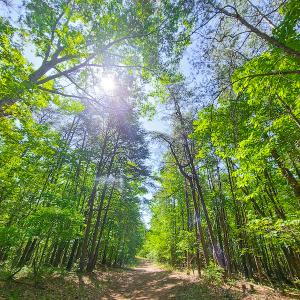 Photo #29 of SOLD property in 728 Retreat Drive, Axton, VA 32.4 acres