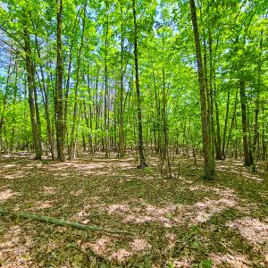 Photo #23 of SOLD property in 728 Retreat Drive, Axton, VA 32.4 acres