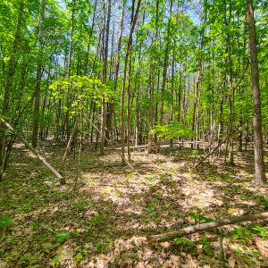 Photo #24 of SOLD property in 728 Retreat Drive, Axton, VA 32.4 acres